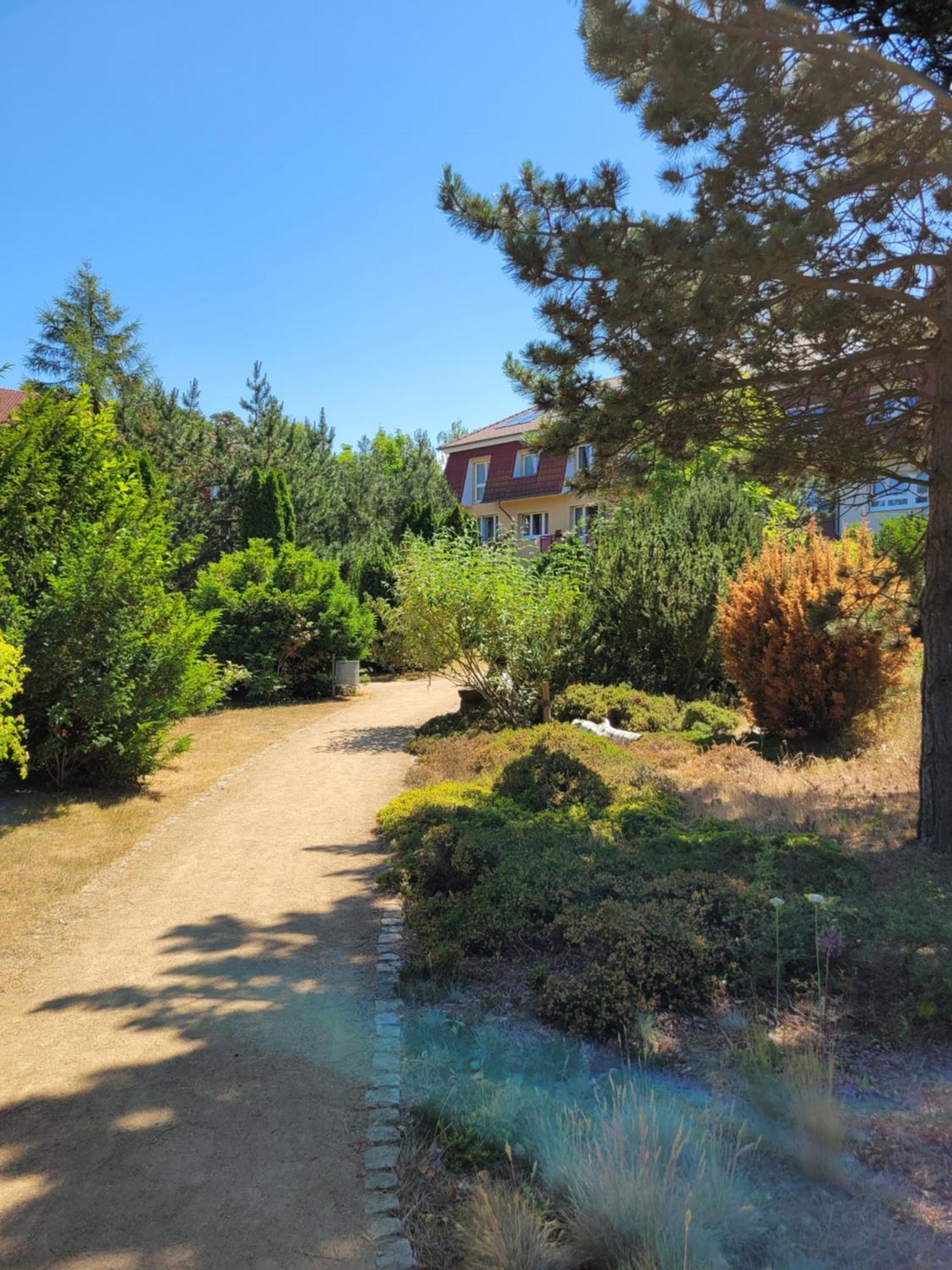 Appartement Im Duenengarten Ostseebad Kühlungsborn Buitenkant foto