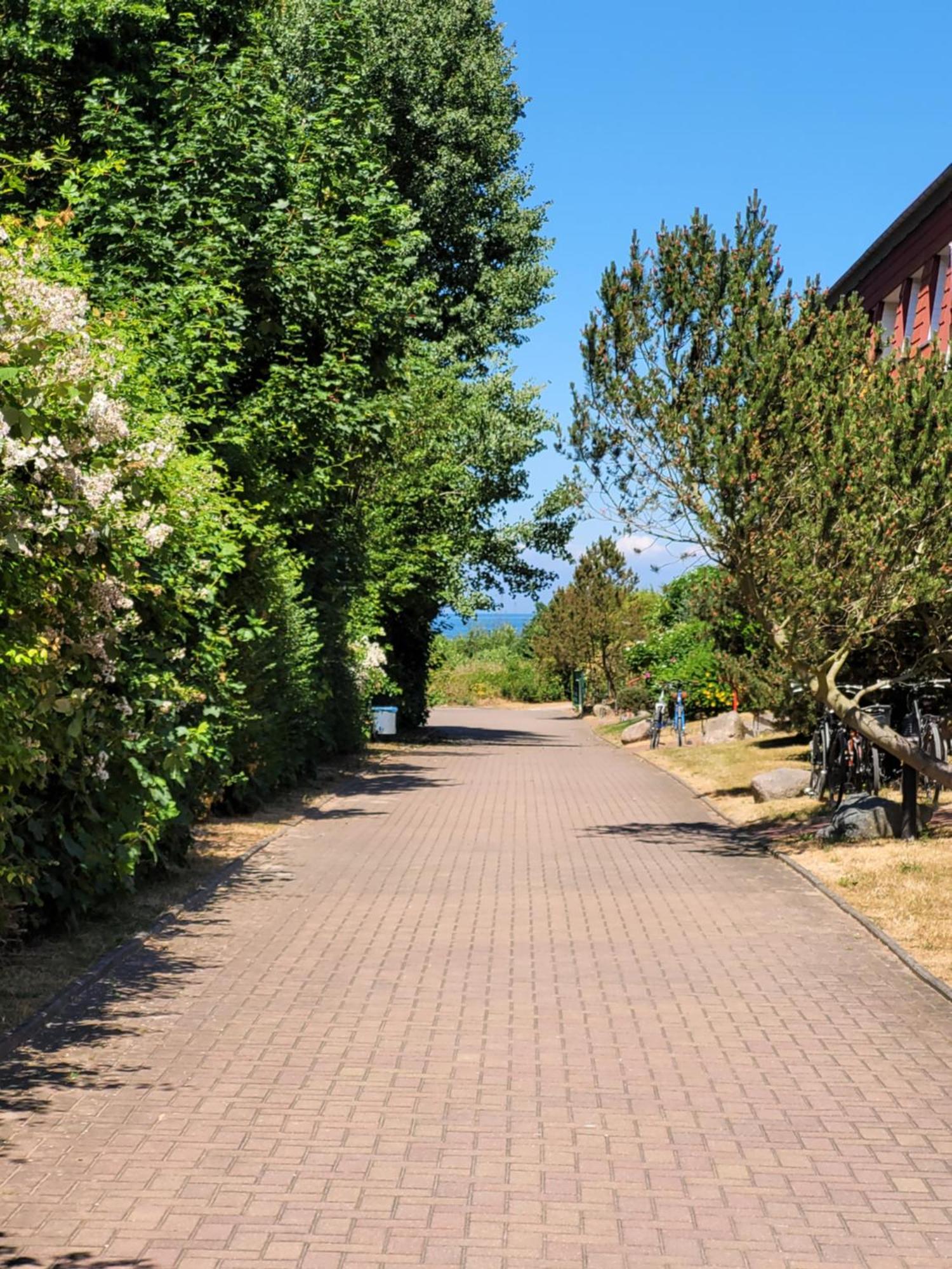 Appartement Im Duenengarten Ostseebad Kühlungsborn Buitenkant foto